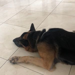 Meet your Posher, Alexandra